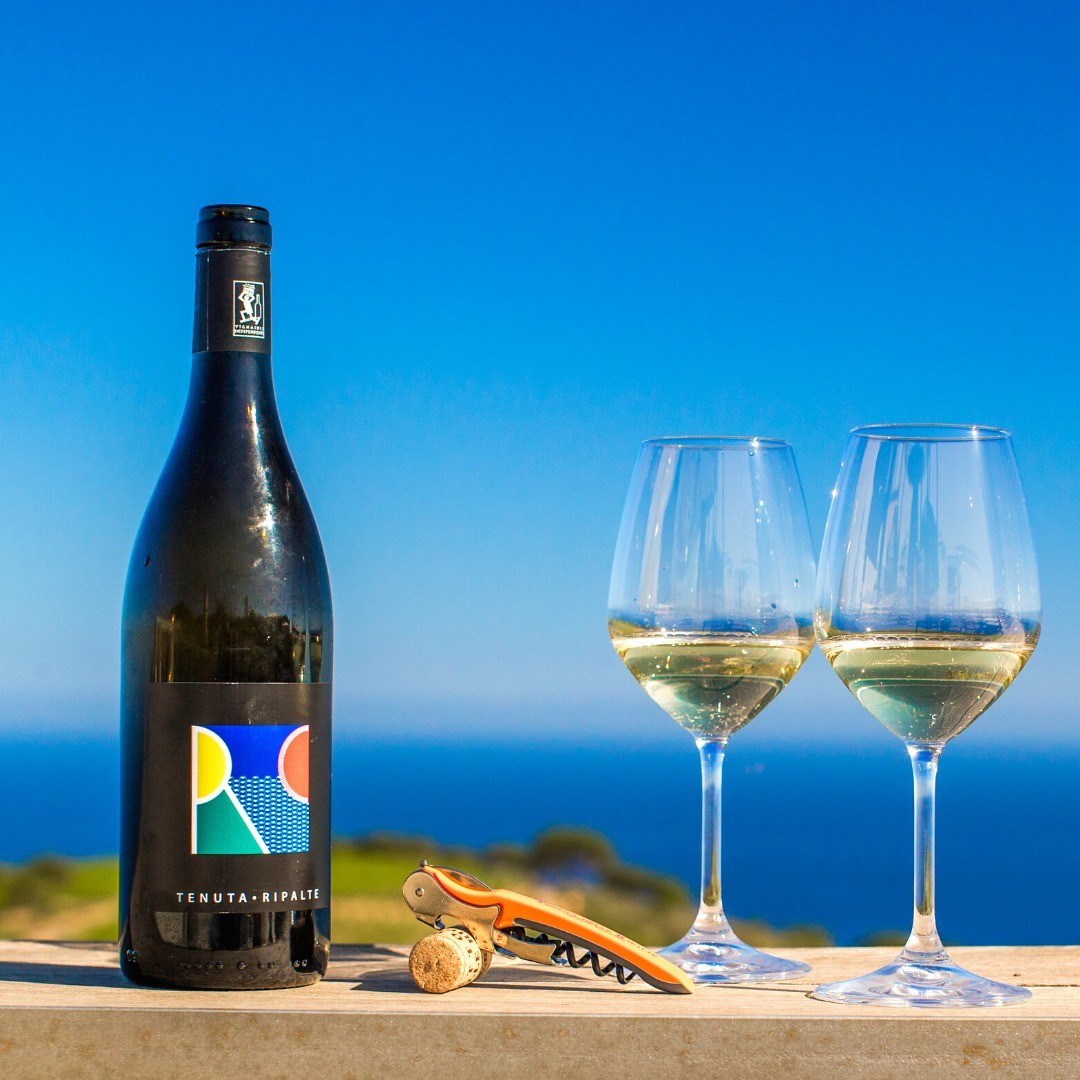 VERMENTINO IGT DELLE RIPALTE - Image 2