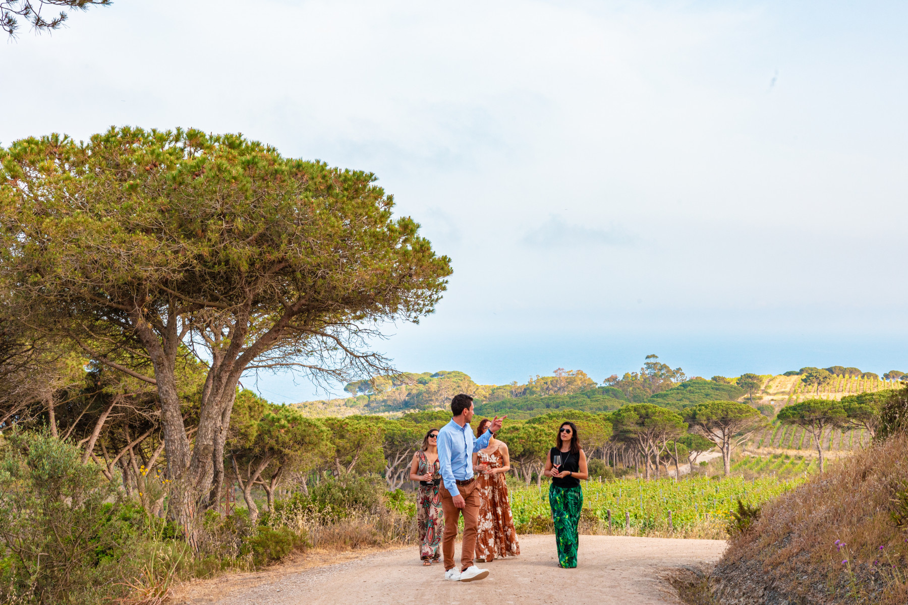 Voucher - Degustazione Vini e Visita alla Cantina d'Autore - immagine 2
