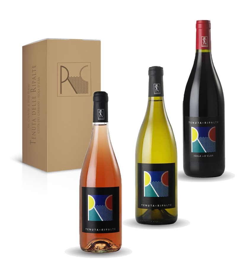 CLASSIC RIPALTE - immagine 3