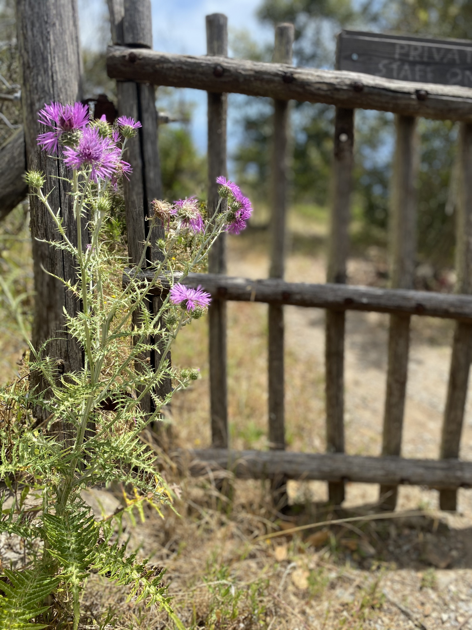 Voucher - Family Jeep Tour Ripalte - immagine 3