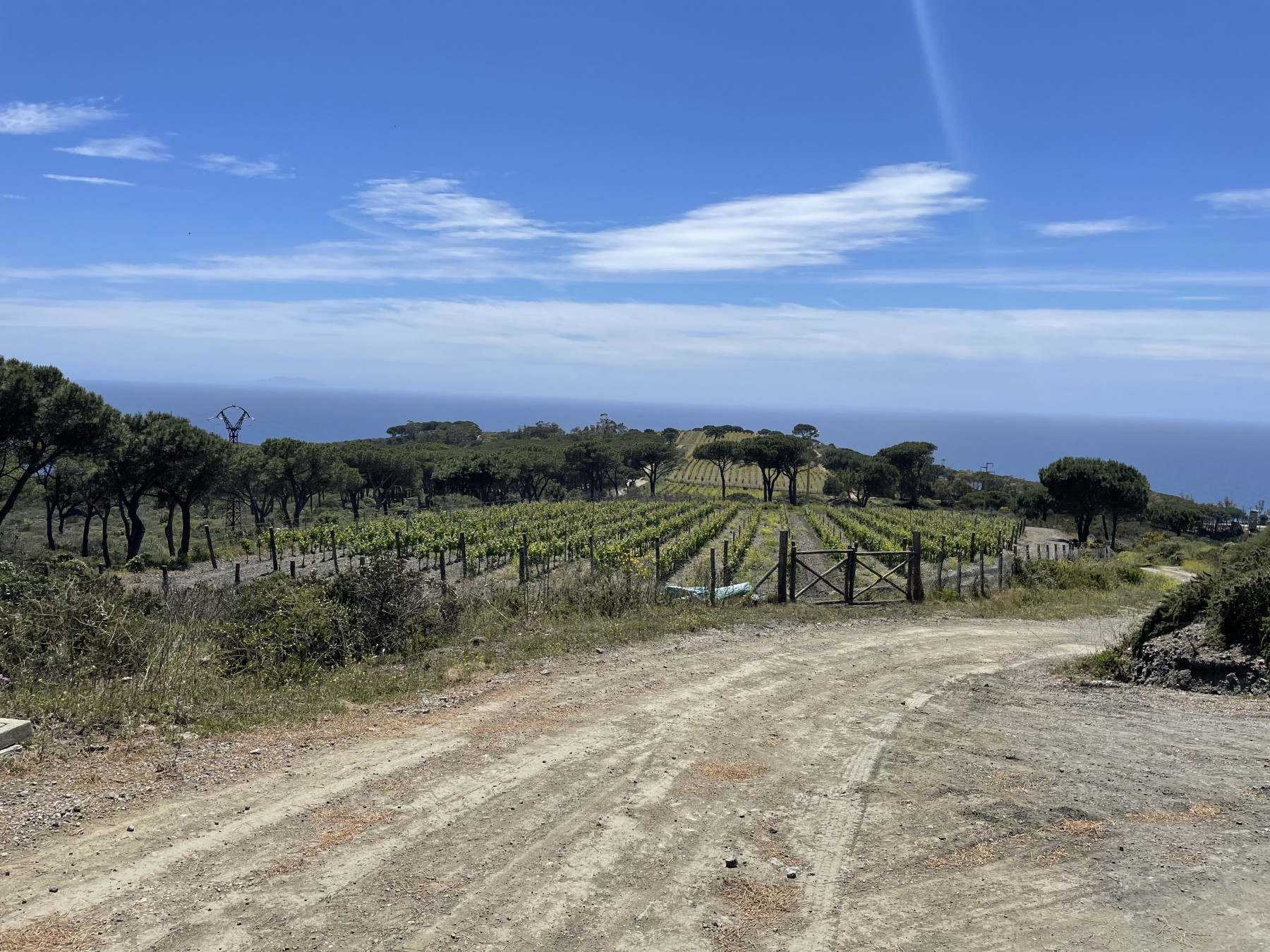 Voucher - Jeep Tour Ripalte - immagine 5