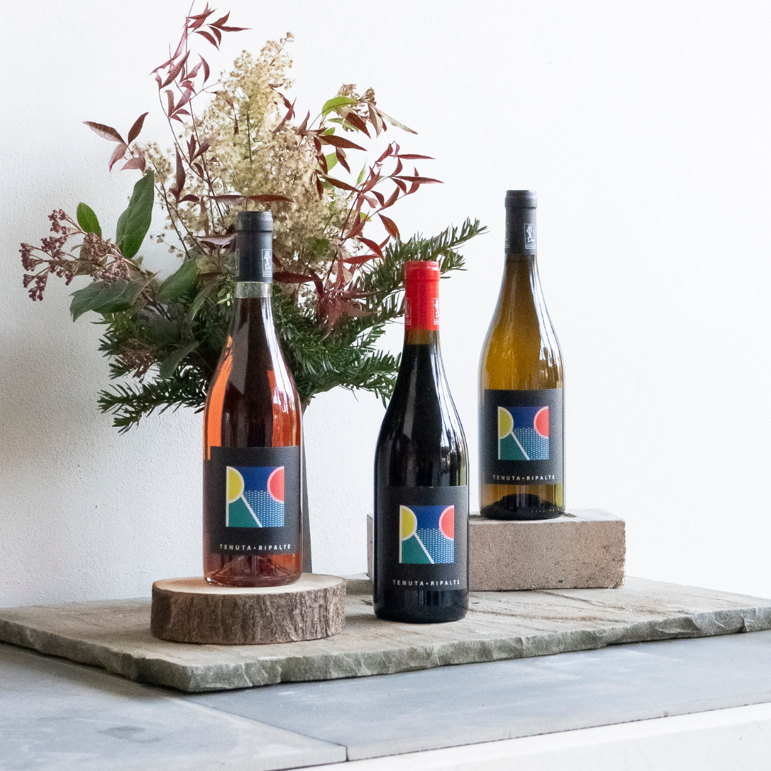 CLASSIC RIPALTE - immagine 2