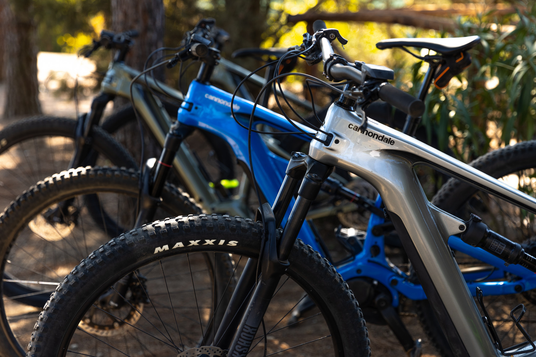 Voucher - Tour in E-bike con Degustazione Vini - immagine 2