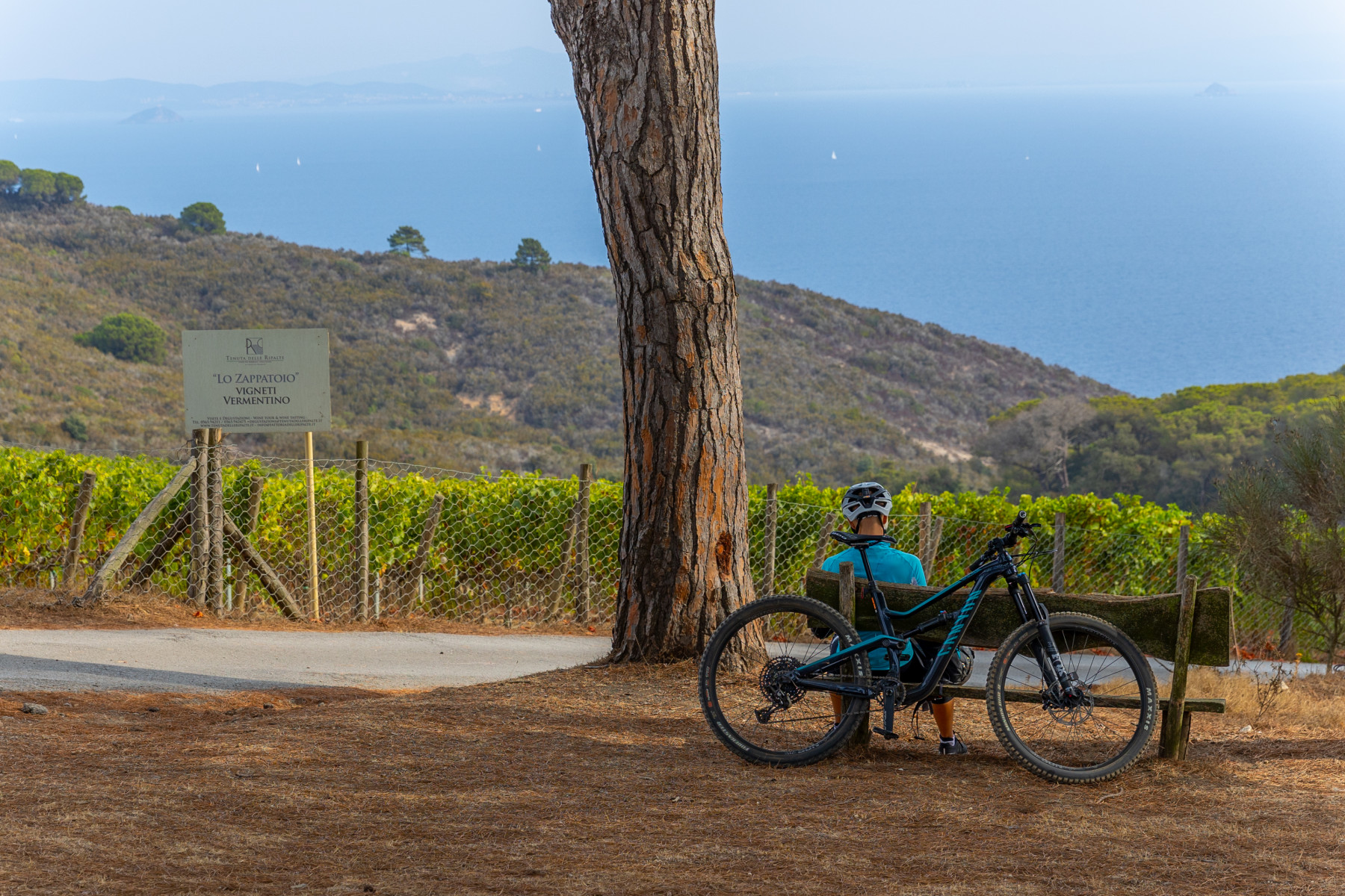 Voucher - Tour in E-bike con Degustazione Vini - immagine 4