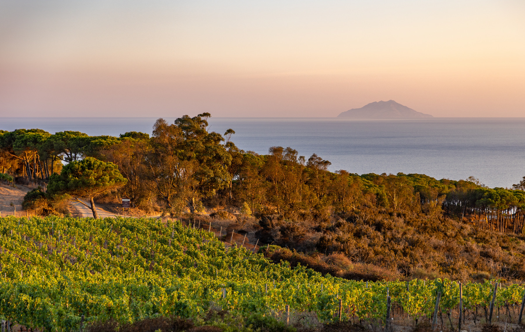 Voucher - Alcova del Vignaiolo alle Ripalte: Aperitivo Privato in Autonomia al Tramonto - immagine 2